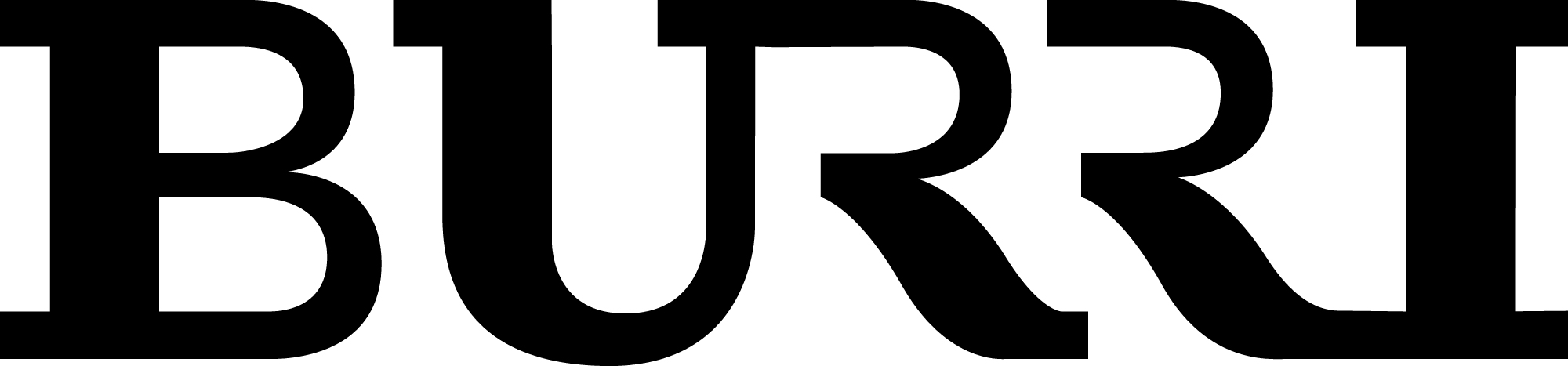 BURRI public elements AG